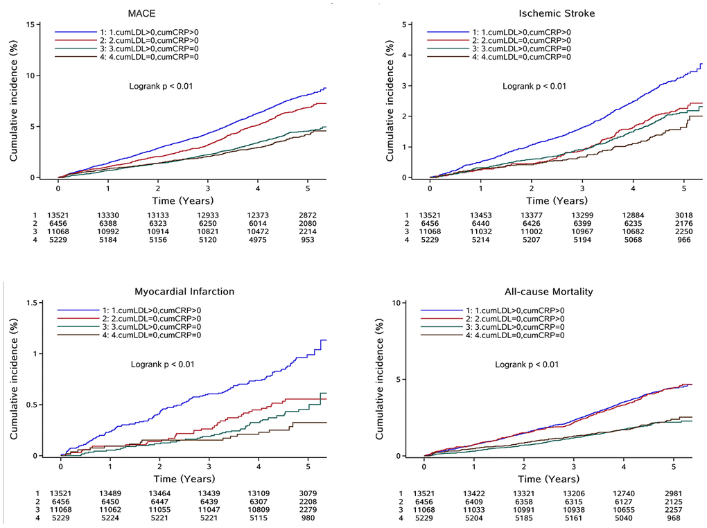 Cumulative incidence of clinical outcomes in total participants stratified by cumLDL-c and cumhs-CRP; Abbreviation: MACE: major adverse cardiac events; cumLDL-c, cumulative burden of low density lipoprotein cholesterol; cumhs-CRP, cumulative burden of high sensitivity C-reactive protein.