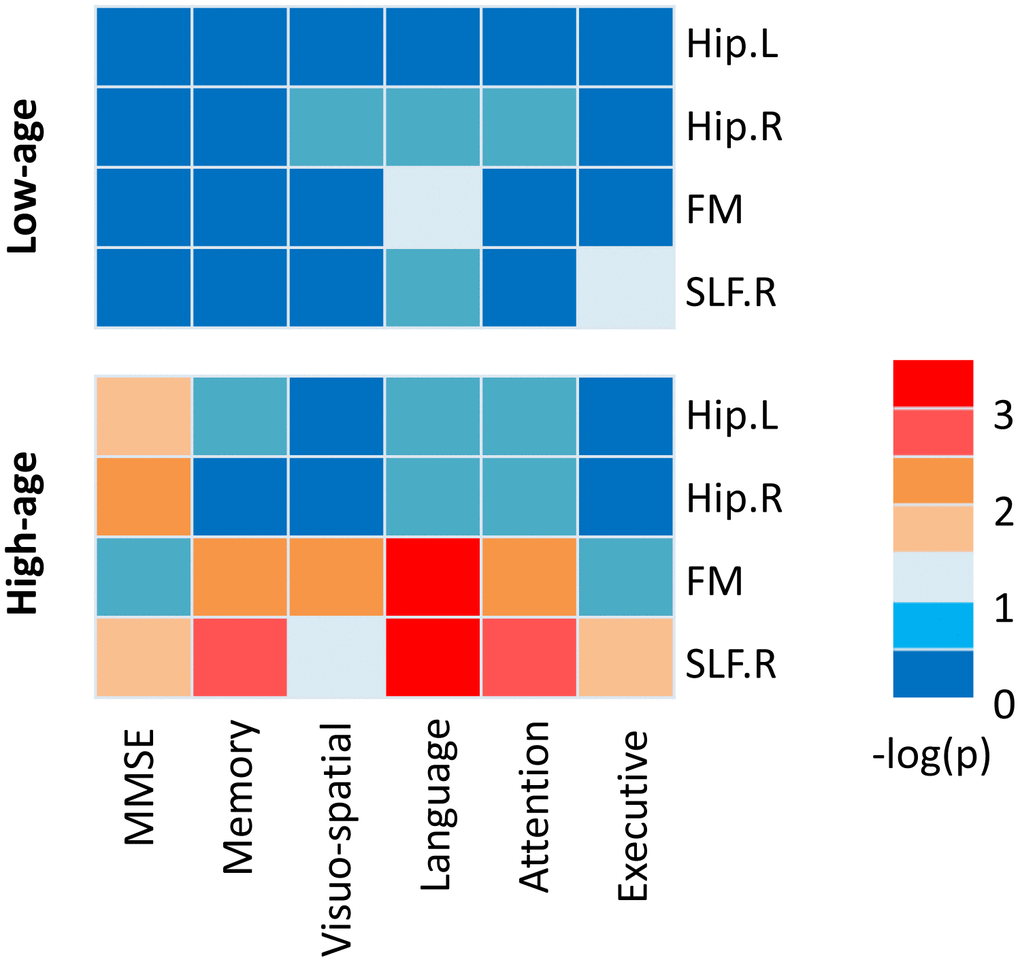 The relationships between white matter integrity and cognitive performance in APOE ε4 carriers. A heatmap reflecting –log (P) values for correlations between white matter integrity and cognitive performance in low-age (26 subjects, 