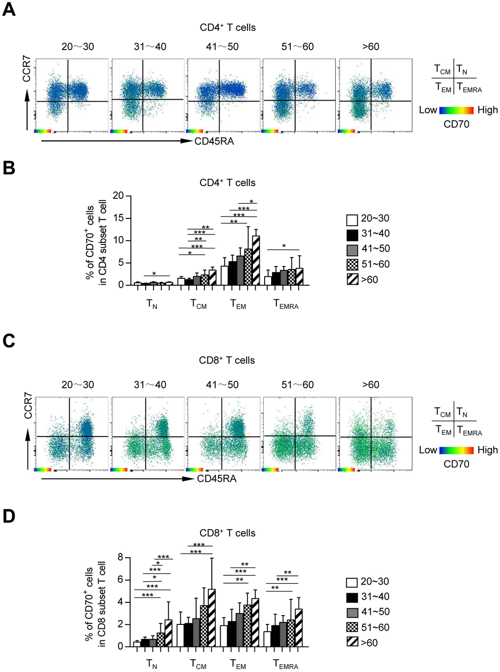 CD70 is preferentially expressed on memory CD4+ and CD8+ T cells. Expression of CD70 on each subset (TN, TCM, TEM, and TEMRA) of CD4+ and CD8+ T cells. Representative flow data (A, C) and box plots (B, D) of the percentage of CD70 expression on each subset of CD4+ (A–B) and CD8+ (C–D) T cells from five different age groups (n = 34-56 in each group). Data are shown as the median ± 95% confidence interval (CI). The p-values were obtained by Kruskal-Wallis test followed by Dunn’s multiple comparisons test. *p p p 