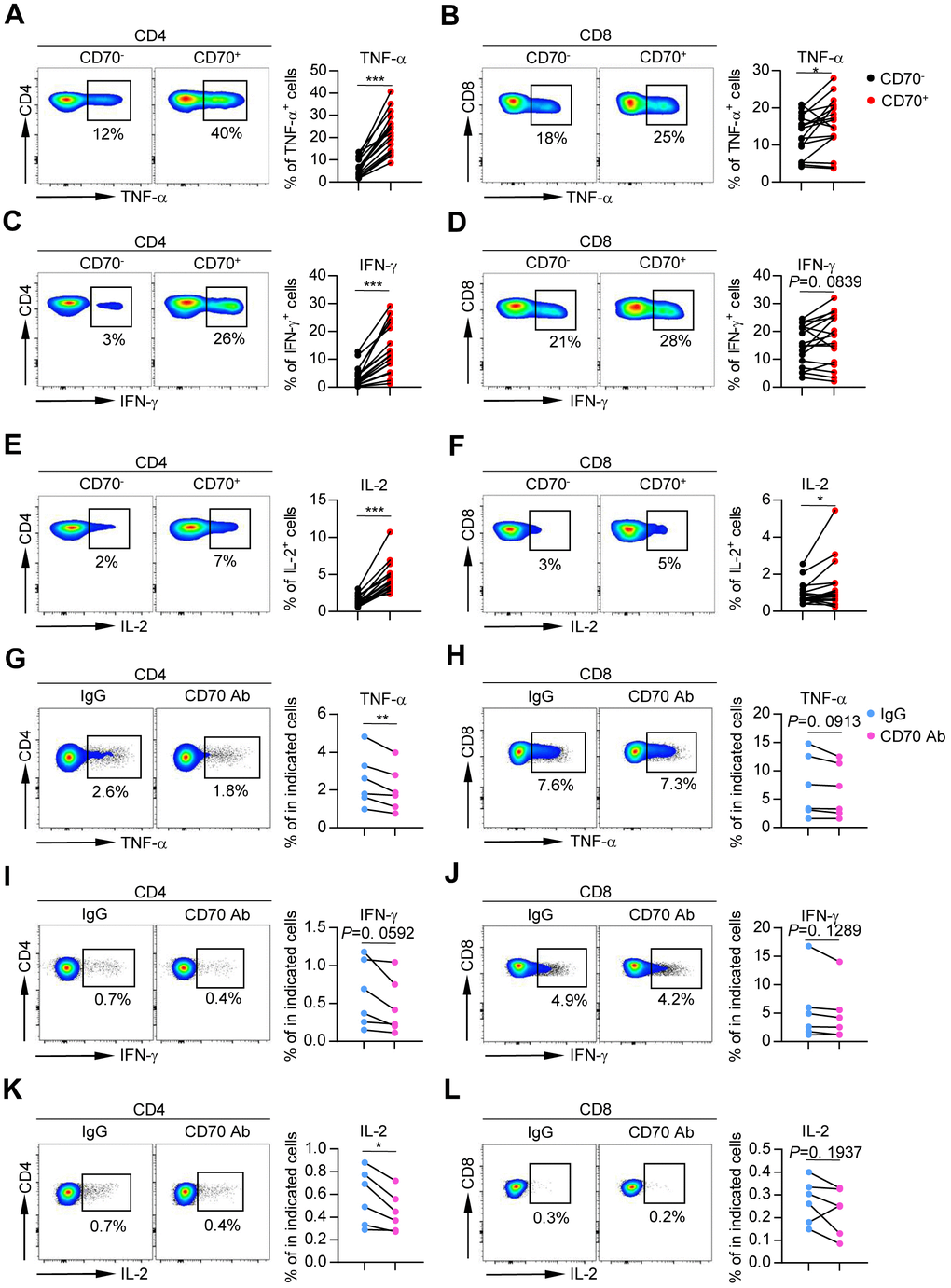 Aged CD70+ T cells secrete increased levels of inflammatory cytokines that can be reversed by blocking CD70. (A–F) Intracellular staining for TNF-α, IFN-γ, and IL-2 in CD70- and CD70+ T cells from elderly individuals (61-80 years, n = 17) after in vitro anti-CD3/anti-CD28 stimulation. Representative flow data (left) and plots (right) for TNF-α, IFN-γ, and IL-2, respectively. The p-values were obtained by paired t-test (TNF-α, IFN-γ [CD8+ T cells], IL-2 [CD4+ T cells]) or Wilcoxon matched-pairs signed rank test (IFN-γ [CD4+ T cells], IL-2 [CD8+ T cells]). (G–L) Purified CD4+ and CD8+ T cells from healthy individuals (n = 6) were cultured with antagonist anti-CD70 antibody or IgG at a concentration of 10 μg/mL as indicated. After culturing in vitro for 24 h and stimulating with anti-CD3/anti-CD28, the cytokine production was measured by flow cytometry. Representative histogram (left) and plot (right) of TNF-α, IFN-γ, and IL-2 expression in CD4+ and CD8+ T cells. The p-values were obtained by paired t-test. *p p p 