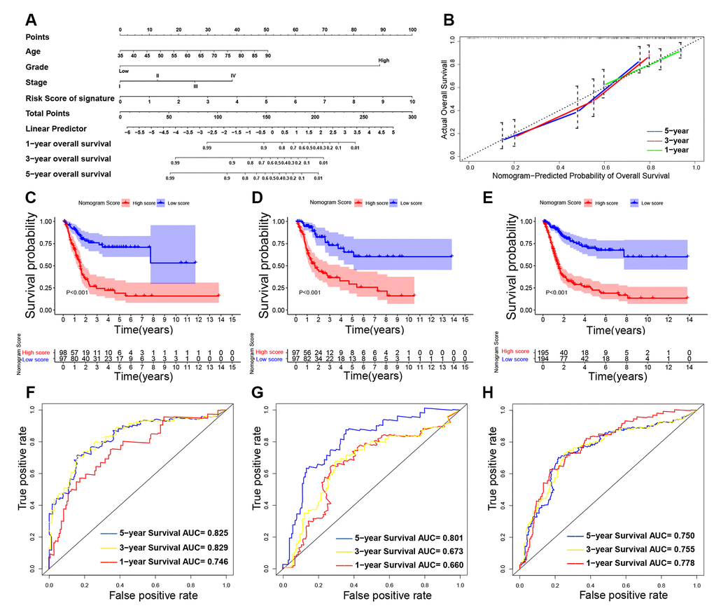 Building and validating the nomogram to predict prognosis in TCGA (The Cancer Genome Atlas) BLCA (Bladder Urothelial Carcinoma) dataset. (A) The nomogram was constructed based on age, UICC (Union for International Cancer Control) stage, histological grade and the immune-related signature in the training cohort; (B) The calibration plot for internal validation of the nomogram; (C–E) Kaplan-Meier survival curves between high-nomogram-score and low-nomogram-score groups in the training cohort, testing cohort and entire TCGA BLCA cohort, respectively; (F–H) Time-dependent ROC (receiver operating characteristic) curves and AUC (area under curve) for 1-year, 3-year, and 5-year overall survival based on the training cohort, testing cohort and entire TCGA BLCA cohort, respectively.