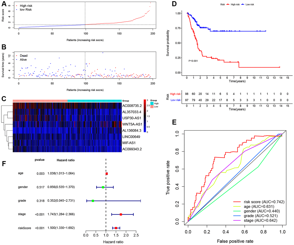 Evaluating the predictive power of the 8-lncRNA immune-related signature in the training cohort. (A–C) Distribution of risk score, survival status, and lncRNA expression of patients in the training cohort; (D) Kaplan-Meier survival curve of the high-risk and low-risk groups in the training cohort; (E) Time-dependent ROC (receiver operating characteristic) curves and AUC (area under curve) based on the training cohort for 5-year overall survival; (F) Forest plot for multivariate Cox regression analysis.
