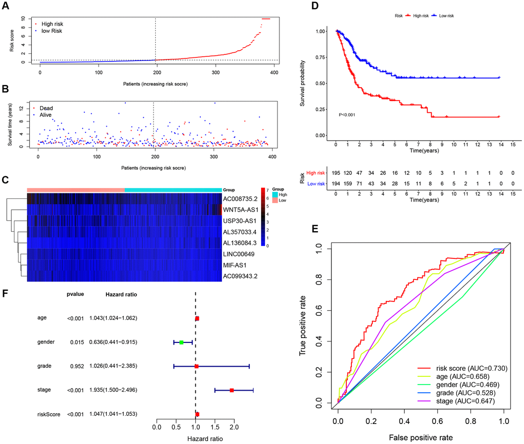 Evaluating the predictive power of the 8-lncRNA immune-related signature in the entire TCGA (The Cancer Genome Atlas) BLCA (Bladder Urothelial Carcinoma) cohort. (A–C) Distribution of risk score, survival status, and lncRNA expression of patients in the entire TCGA BLCA cohort; (D) Kaplan-Meier survival curve of the high-risk and low-risk groups in the entire TCGA BLCA cohort; (E) Time-dependent ROC (receiver operating characteristic) curves and AUC (area under curve) based on the entire TCGA BLCA cohort for 5-year overall survival; (F) Forest plot for multivariate Cox regression analysis.