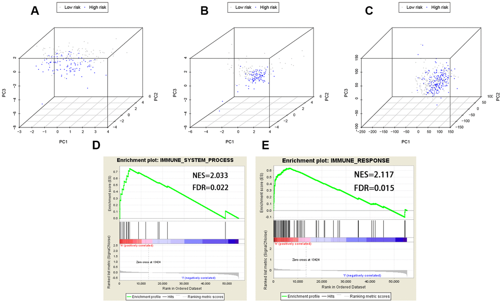 PCA (Principal components analysis) and GSEA (Gene set enrichment analysis). PCA based on the eight lncRNAs indicated low-risk and high-risk groups were generally distributed in two different directions in (A) the training cohort and (B) the testing cohort, respectively; (C) PCA based on the whole gene set indicated these two groups did not show significant distinctions; (D, E) GSEA indicated significant enrichment of immune-related phenotype in the high-risk group patients. FDR false discovery rate; NES normalized enrichment score.