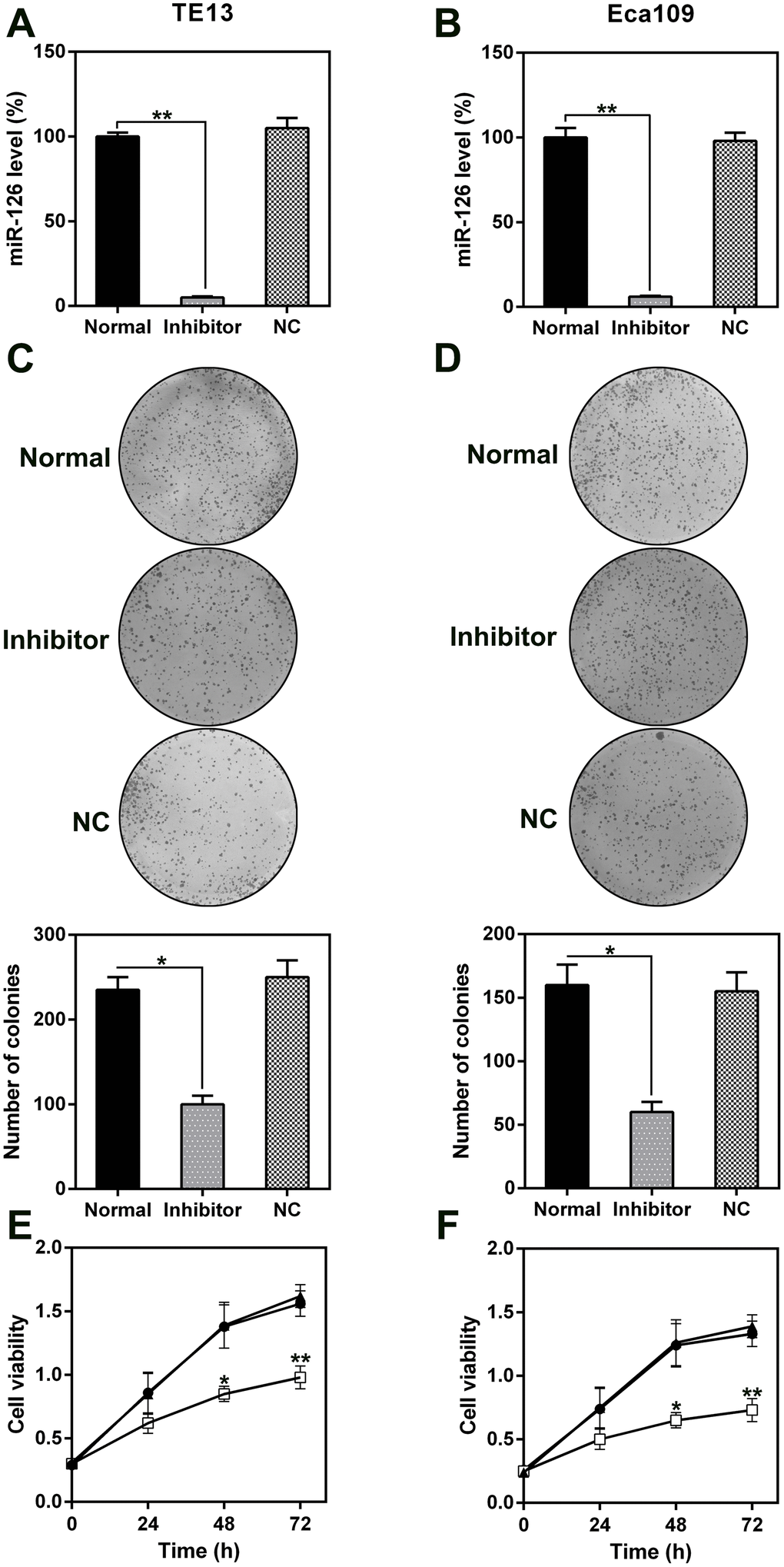 Effect of miR-126 on ESCC cell proliferation. (A, B) miR-126 mRNA levels in TE13 and Eca109 cells treated with miR-126 or NC inhibitors detected using qPCR. (C, D) Soft agar CFA of TE13 and Eca109 cells treated with miR-126 or inhibitors. Lower panel indicates the colony number. (E, F) TE13 and Eca109 cell proliferation rate at 1, 2, and 3 d after transfection. Results are displayed as the average ± SD. *P 