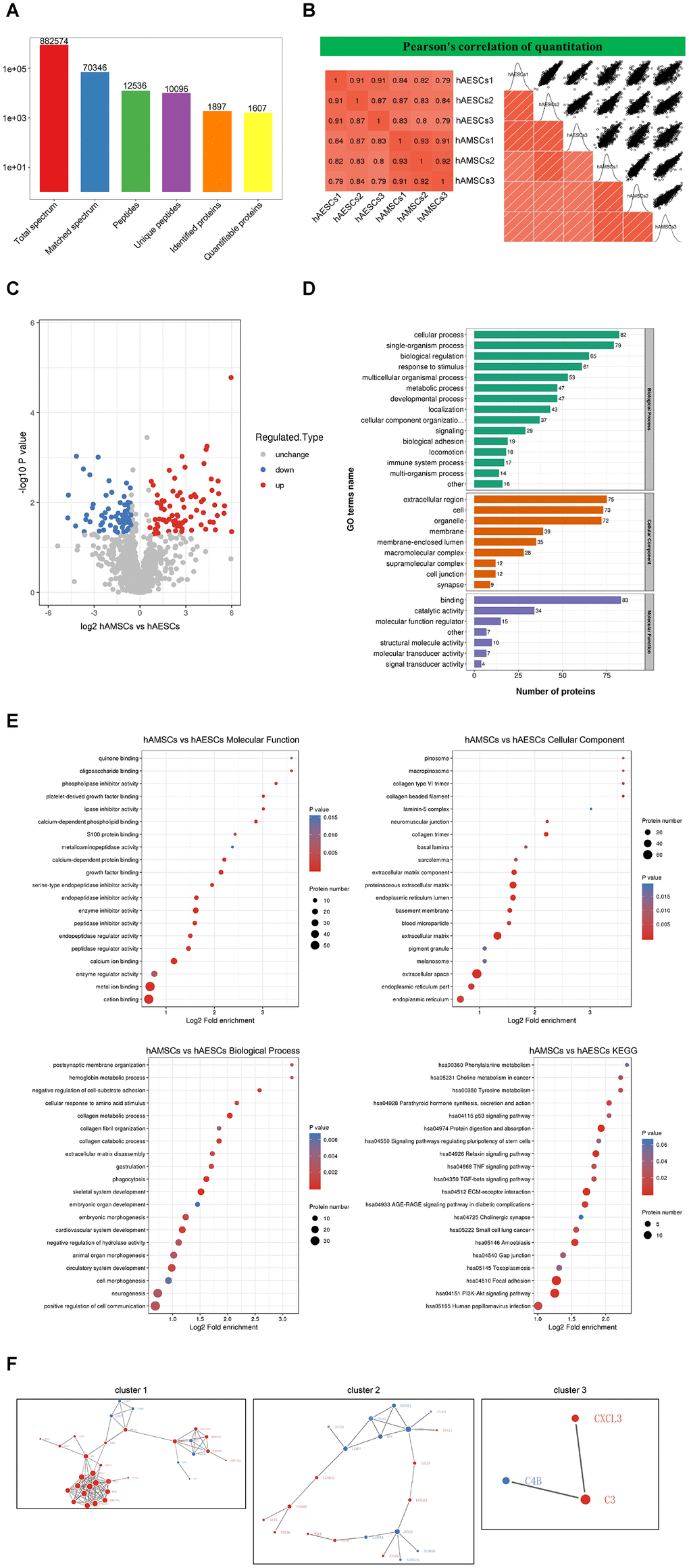 Mass spectrometry and bioinformatic analyses of proteins in hAMSCs-CM (condition media of hAMSCs) and hAECs-CM (condition media of hAECs). (A) Basic summary of mass spectrometric data. (B) A heat map compares Pearson correlation coefficients of proteins in hAMSCs-CM and hAECs-CM samples. A value closer to -1 indicates negative correlation, whereas a value closer to +1 indicates positive correlation. A value of 0 denotes no correlation. (C) Quantitative volcano map of differentially expressed proteins in conditioned media. The horizontal axis shows the Log2 relative expression value of the proteins, whereas, the vertical axis denotes the logarithmic p-value. The red dots indicate significantly up-regulated proteins and the blue dots indicate significantly down-regulated proteins. (D) Top differentially expressed proteins in the conditioned media classified according to three GO domains: biological process, molecular function and cellular component. (E) A directed acyclic graph shows GO and KEGG enrichment analyses of differentially expressed proteins in conditioned media. The circles indicate the GO classification of the differential expressed protein; the red color indicates highly significant protein (PF) The protein-protein interaction network map of the differentially expressed proteins in the conditioned media. The circles indicate differentially expressed proteins. The blue color denotes down-regulated proteins and the red color denotes up-regulated proteins. The size of the circle shows the number of proteins interacting with each other. A larger circle denotes a protein with several interacting partners.