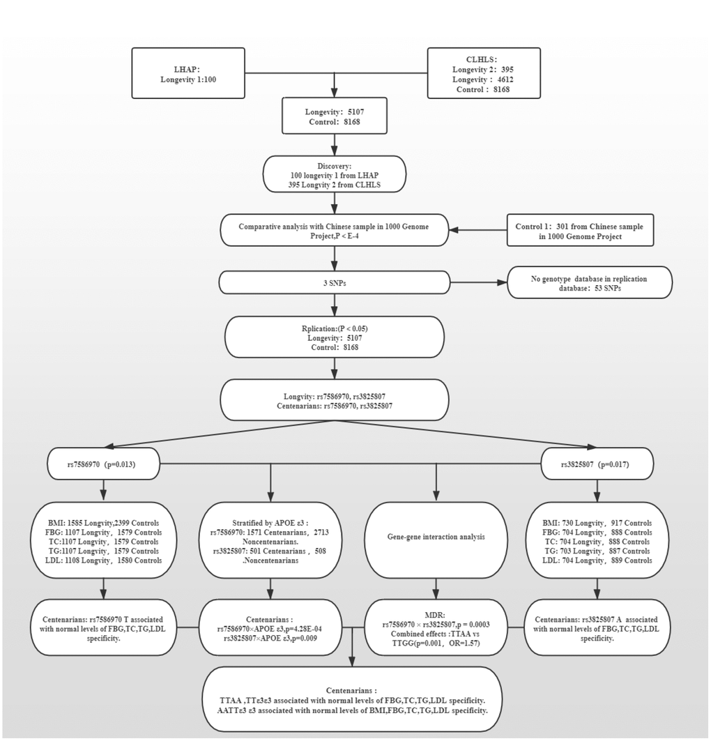 A flow chart of the consecutive analysis steps.