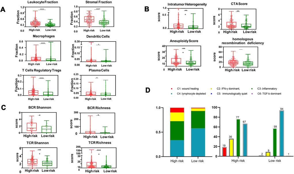 Box and whisker chart showing the aberrant elevation of the tumor immune infiltrate in high-risk patients. (A) The proportion of major classes of immune cells. (B) BCR (top) and TCR (bottom) diversity measured by the Shannon entropy and species richness. (C) Four key immune expression signature scores. (D) Number of patients and distribution of immune subtypes in the high-risk and low-risk groups. The text above the bars shows the specific number of patients in each immune subtype. The bar width reflects the number of tumor samples; the six immune subtypes include C1 (wound healing), C2 (IFN-γ dominant), C3 (inflammatory), C4 (lymphocyte depleted), C5 (immunologically quiet) and C6 (TGF-b dominant); values from min to max are plotted.