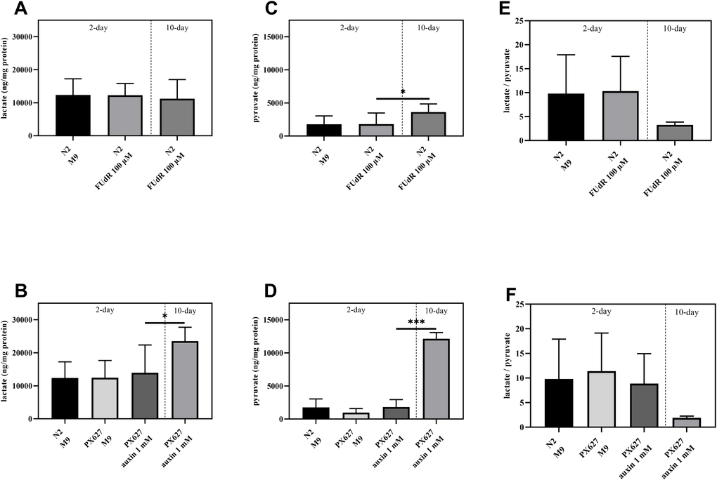 Glycolytic involvement: Determination of intracellular lactate (A, B), pyruvate (C, D) and lactate/pyruvate ratio (E, F) of wild-type C. elegans and PX627 treated with 100 μM FUdR or 1 mM auxin, respectively. Values were normalized to protein concentrations. n = 6-15; mean ± SD; one-way ANOVA with Tukey´s multiple post-test; p* 