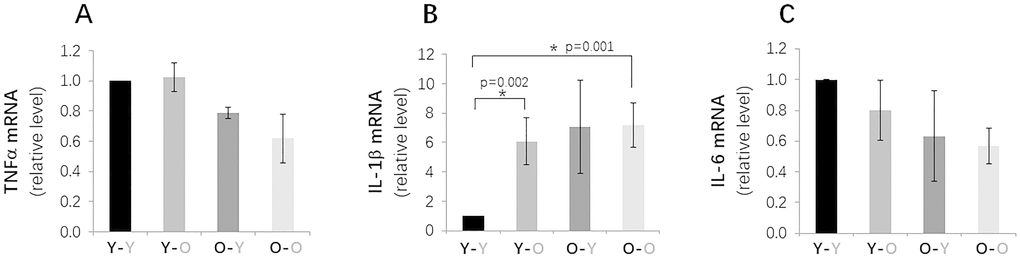 Effects of circulatory factors on gene expression of key SASP factors in IVDs in mouse heterochronic parabiotants. qRT-PCR quantitation of TFNα (A), L-1β (B) and IL-6 (C) mRNAs from discs from the four groups of mice. Data shown are mean ± SD of 5 independent experiments, *p 