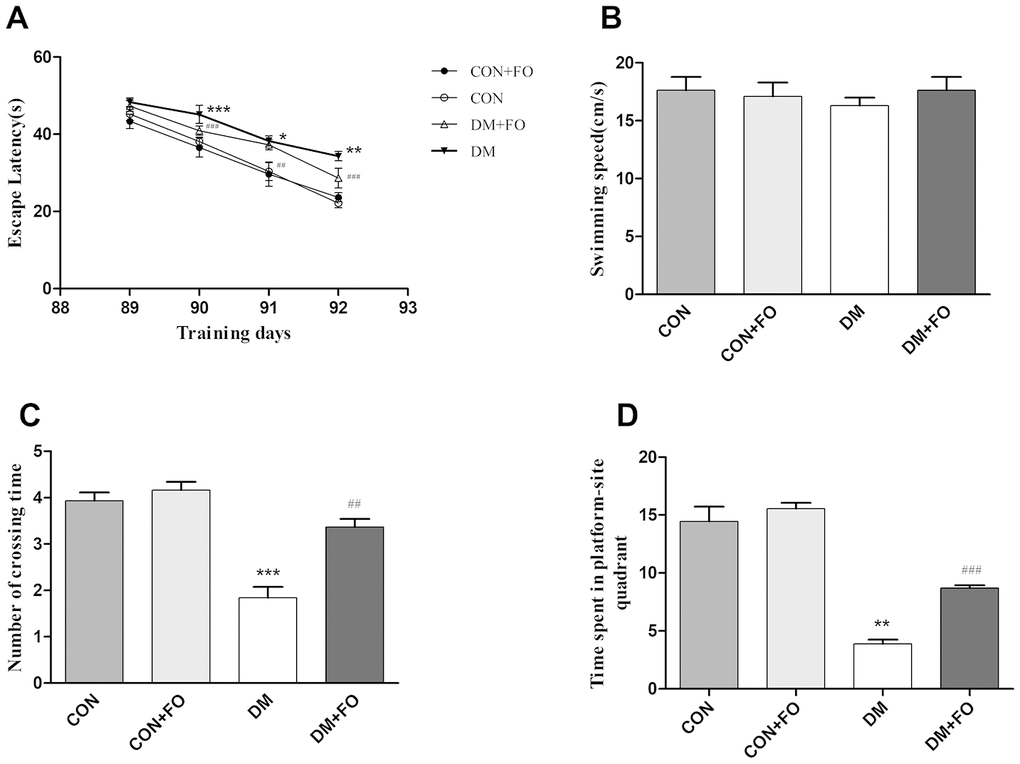 The spatial learning and memory ability of rats in different groups. (A) Escape latency in navigation training. (B) Swimming speed in the probe test. (C) The number of platform quadrant crossings. (D) Time spent in the target quadrant. Data were analyzed using repeated-measures ANOVA with post hoc Bonferroni tests. Data are shown as the mean ± SEM (n=7). *P0.05, * *P0.01 and ***P0.001 vs. the CON group; # P0.05, ##P0.01 and ###P0.001 vs. the DM group.