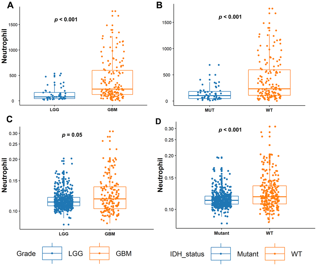 Tumor-infiltrating neutrophil (TIN) levels increase with tumor grades and in IDH-WT gliomas. (A) In the Sanbo cohort, TIN levels were compared between LGG (n = 52) and glioblastoma (GBM; n = 150) gliomas, and (B) in IDH-mutant (Mut; n = 55) and IDH wild-type (WT; n = 147) gliomas. (C) In the TCGA dataset, TIN levels were compared between LGG (n = 524) and GBMs (n = 153), and (D) IDH-Mut (n = 424) and IDH-WT (n = 234) gliomas.