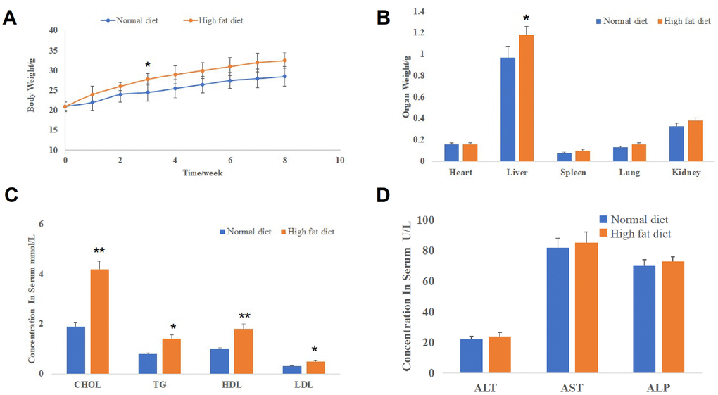 NAFLD models were successfully established in mice. (A) The body weight change curve of mice in the normal diet and high-fat diet groups (*PB) The weight of mice organs including the liver, heart, lung, spleen and kidney in the normal diet and high-fat diet groups (*PC) The serum levels of lipoproteins (CHOL, TG, HDL and LDL) of mice in the normal diet and high-fat diet groups (*PD) The serum levels of hepatic damage biomarkers (ALT, AST and ALP) in the normal diet and high-fat diet groups.