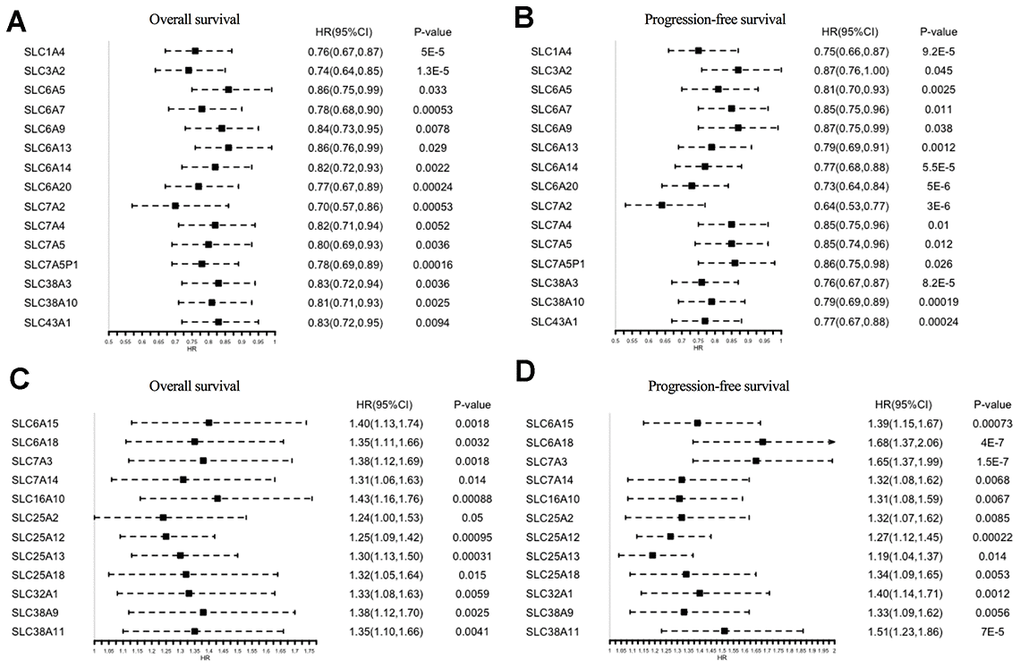 Prognostic values of SLC family members in ovarian cancer (Kaplan–Meier Plotter). (A, B) HRs of prognostic protective SLC family members in ovarian cancer. (C, D) HRs of prognostic risk SLC family members in ovarian cancer. SLC, solute carrier; HR, hazard ratio; CI, confidence interval.