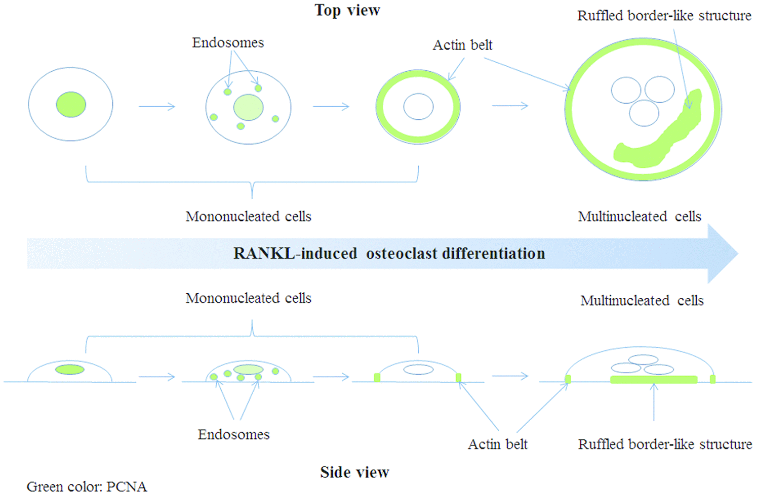 class="figure-viewer-img"