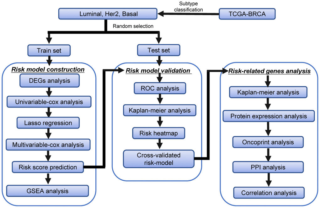 The workflow of the identification of subtype-specific survival-related autophagy signature in BRCA.