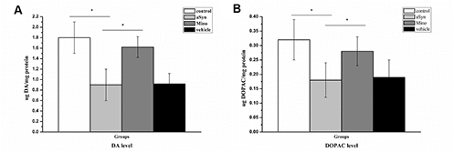 Mino enhanced the dopamine and 3,4-dihydroxyphenylacetic acid (DOPAC) levels in the nigrostriatal system after hmαSyn overexpression. Mino administration reversed the significant DA (A) and DOPAC (B) reduction caused by hmαSyn overexpression. Bars represent the mean ± standard deviation (SD). *P P 