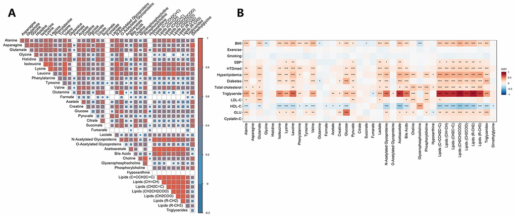 The correlations among concentrations of serum metabolites (A) and the correlation matrix between the concentrations of metabolites and cardiovascular disease risk factors (B). A partial Spearman correlation analysis was used to calculate the correlation coefficients, adjusting for age and sex. The significance threshold was set at *p**p***p