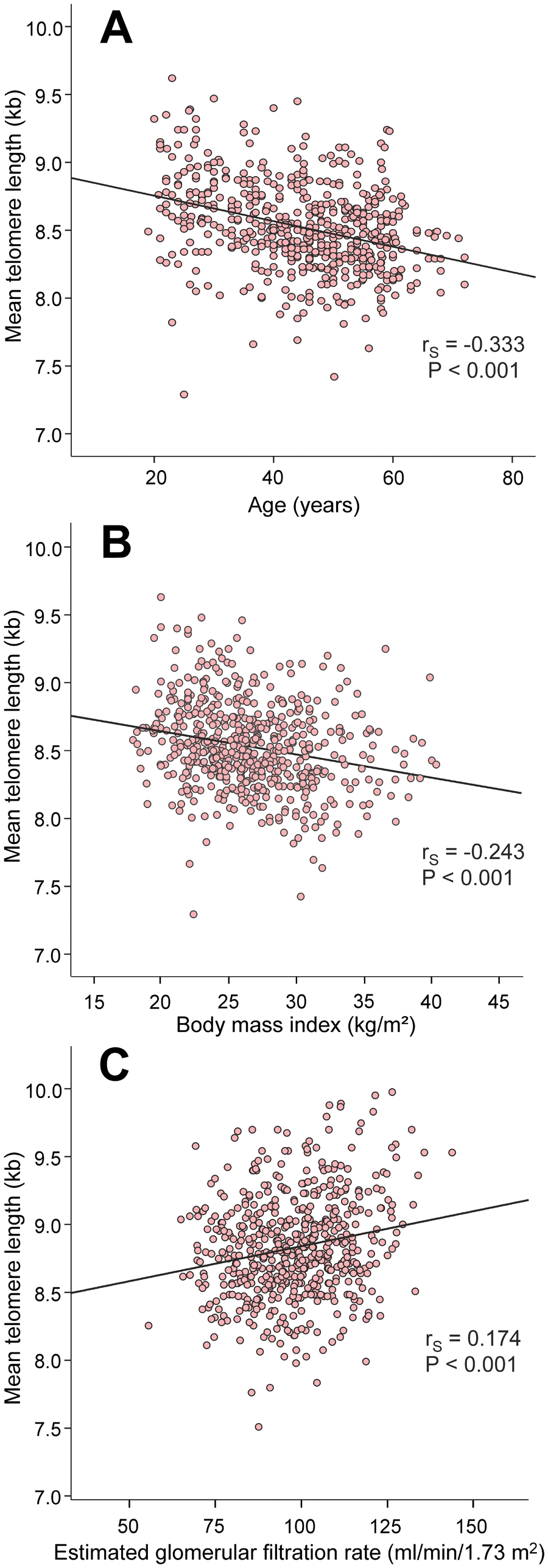Scatter plots and Spearman correlations (rS) between age (A), body mass index (B), and estimated glomerular filtration rate (C), and mean leukocyte telomere length in the 566 study subjects.