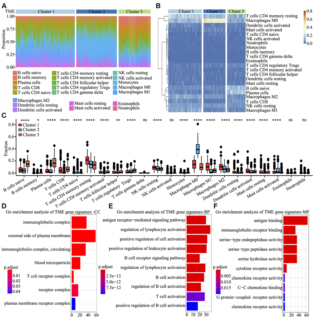 Signature and functional annotation of the TME clusters. (A) Relative percentage of each immune cell type in the three TME clusters. (B) Unsupervised hierarchical clustering of the clusters. (C) Relative populations of TME cells present in the three clusters. Within each group, the scattered dots represent expression values of TME cells. We also plotted the Immunoscore for the three clusters. The thick line represents the median value. The lower and upper ends of the boxes are the 25th and 75th percentiles. The whiskers encompass 1.5 times the interquartile range. Statistical differences in the three clusters were compared using the Kruskal–Wallis test. The range of P values are labelled above each boxplot with asterisks (* P D–F) Gene ontology enrichment analysis of TME signature genes in the cellular component (D), biological process (E) and molecular function (F) categories. The x-axis indicates the number of genes within each gene ontology term.