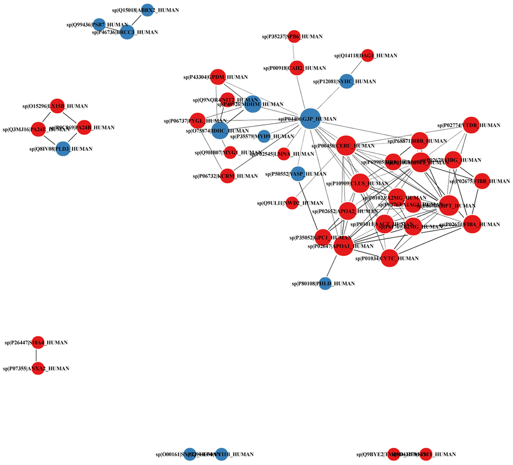 Identification of DEPs in aged skin samples. The X axis represents protein difference (log2-transformed fold changes), and the Y axis the corresponding -log10-transformed P values. Red dots indicate significantly upregulated proteins, green dots denote significantly downregulated proteins, and gray dots symbolize proteins with no significant change.