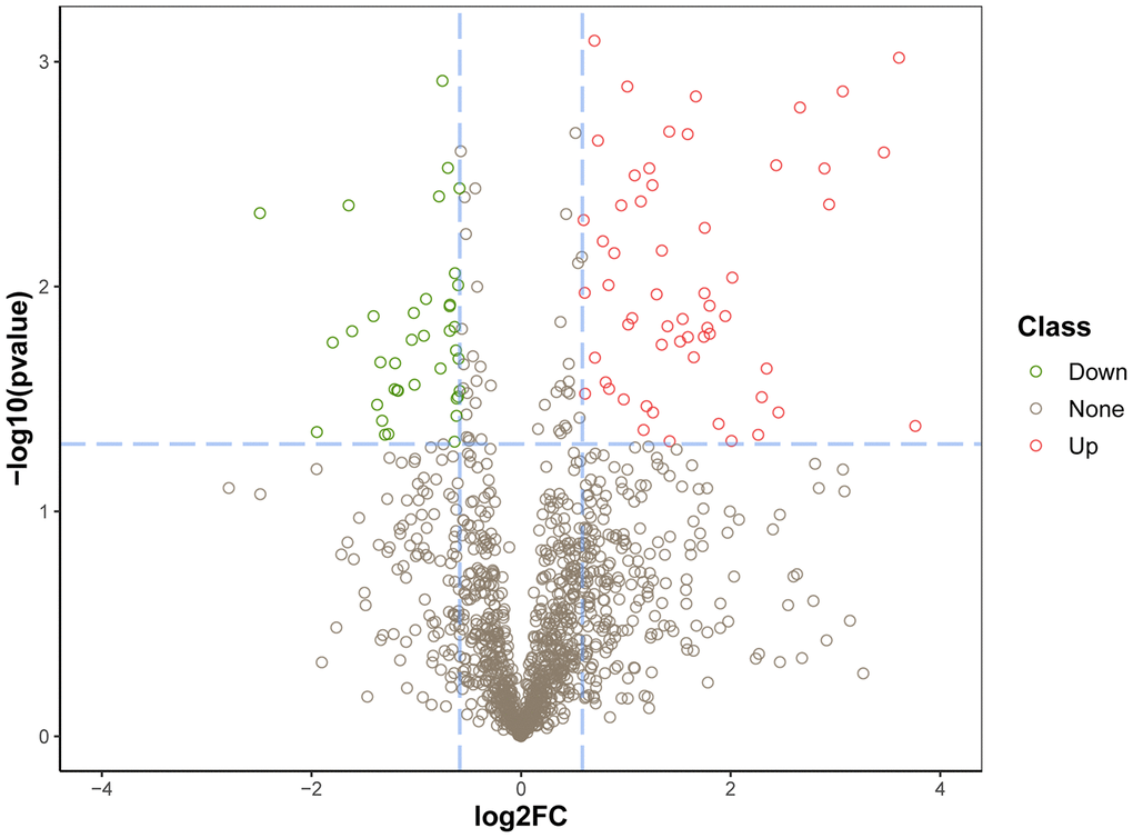 PPI network diagram of DEPs. Red and blue nodes indicate upregulated and downregulated proteins, respectively. The size of the circles indicates node degree.