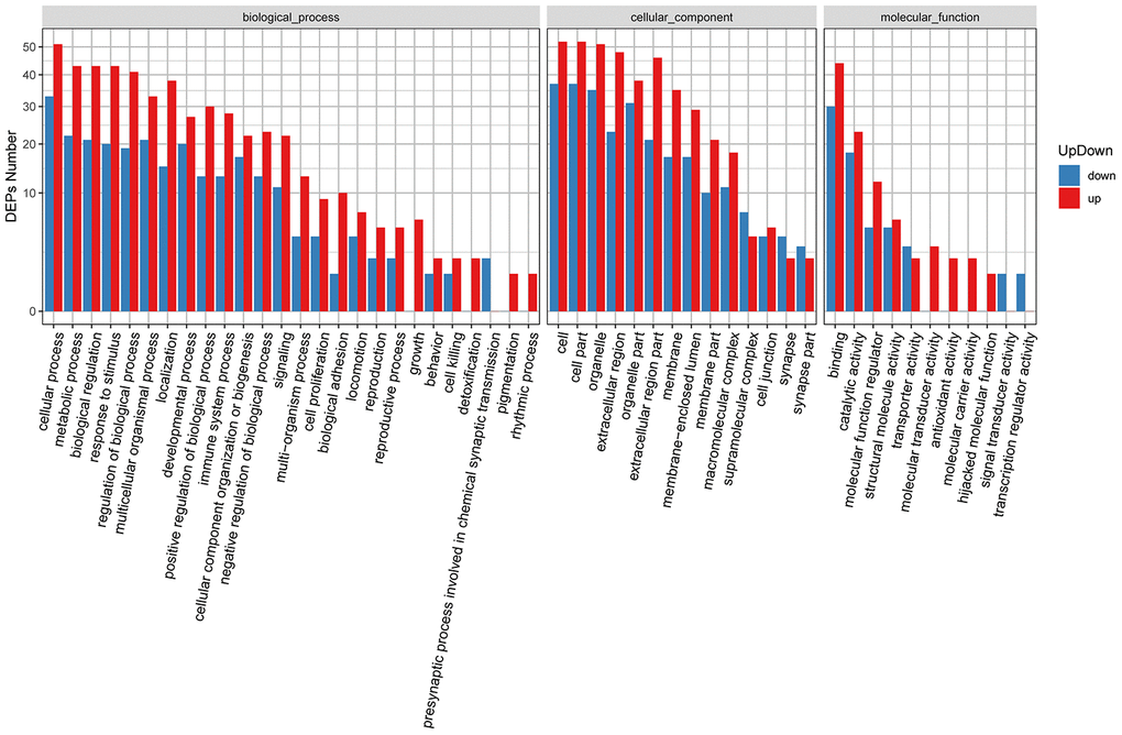 GO classification of upregulated and downregulated DEPs.