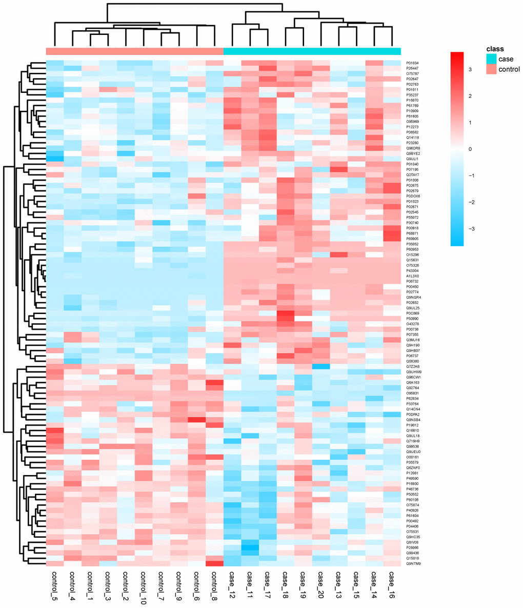 Top 8 pathways enriched in DEPs from aged skin. The x-axis indicates the enrichment factor (RichFactor), i.e. the number of DEPs annotated to each pathway divided by all identified proteins annotated to the same pathway. The larger the value, the greater the proportion of DEPs annotated to each pathway. Dot sizes represent the number of DEPs annotated to each pathway.