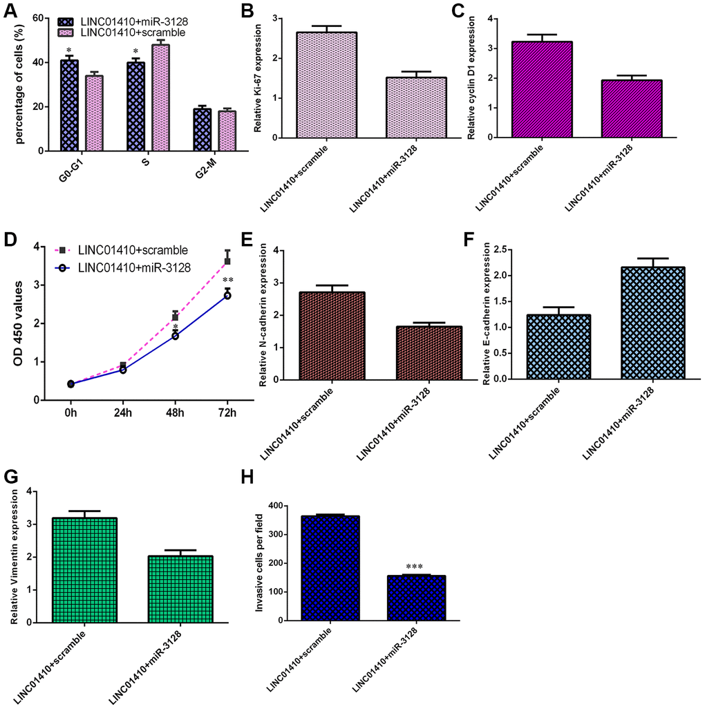 LINC01410 overexpression increased osteosarcoma cell invasion and growth by modulating miR-3128. (A) Ectopic expression of miR-3128 inhibited the cell cycle in LINC01410-overexpressing MG-63 cells. (B) The expression of ki-67 was analyzed by qRT-PCR assay. (C) The expression of cyclin D1 was analyzed by qRT-PCR assay. (D) Overexpression of miR-3128 decreased the proliferation of LINC01410-overexpressing MG-63 cells. (E) The expression of N-cadherin was analyzed by qRT-PCR assay. (F) The expression of E-cadherin was analyzed by qRT-PCR assay. (G) The expression of Vimentin was analyzed by qRT-PCR assay. (H) The relative number of invasive cells is shown. *p