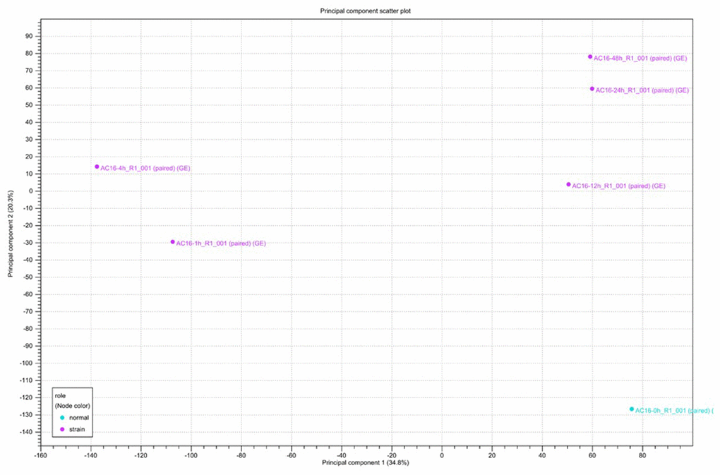 Principal component analysis (PCA) of RNA-seq data. Gene expression changes were investigated after 0, 1, 4, 12, 24, and 48 hours of cyclic stretching. PCA was performed using normalized RNA-Seq data for genes differentially expressed in one pairwise comparison: 0 h vs. other time points.