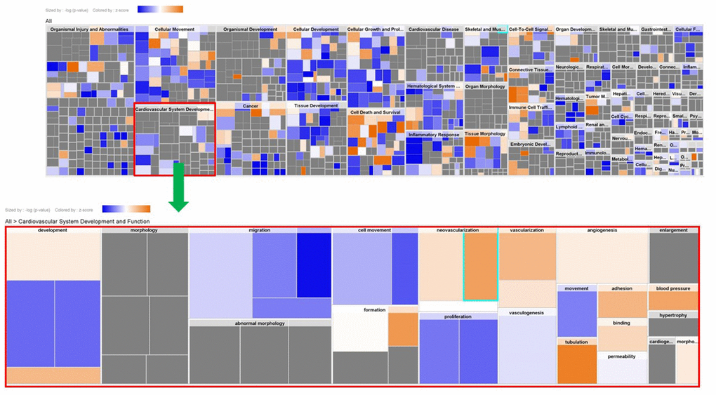 Expression analysis heatmap for disease and functional pathways.