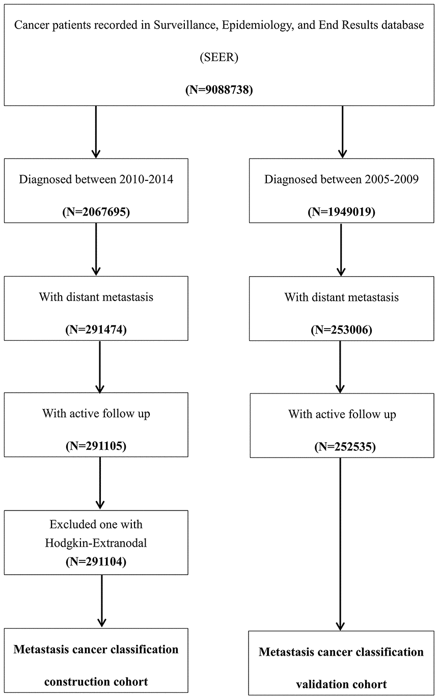 Flow chart of the patient selection procedure in the construction and validation cohort. Metastatic cancer patients who were diagnosed between 2010 and 2014 were included as the construction cohort, which was used to construct the metastatic cancer categories, and those who were diagnosed between 2005 and 2009 were included in the validation cohort, which was used to test the predictive accuracy of this classification system.