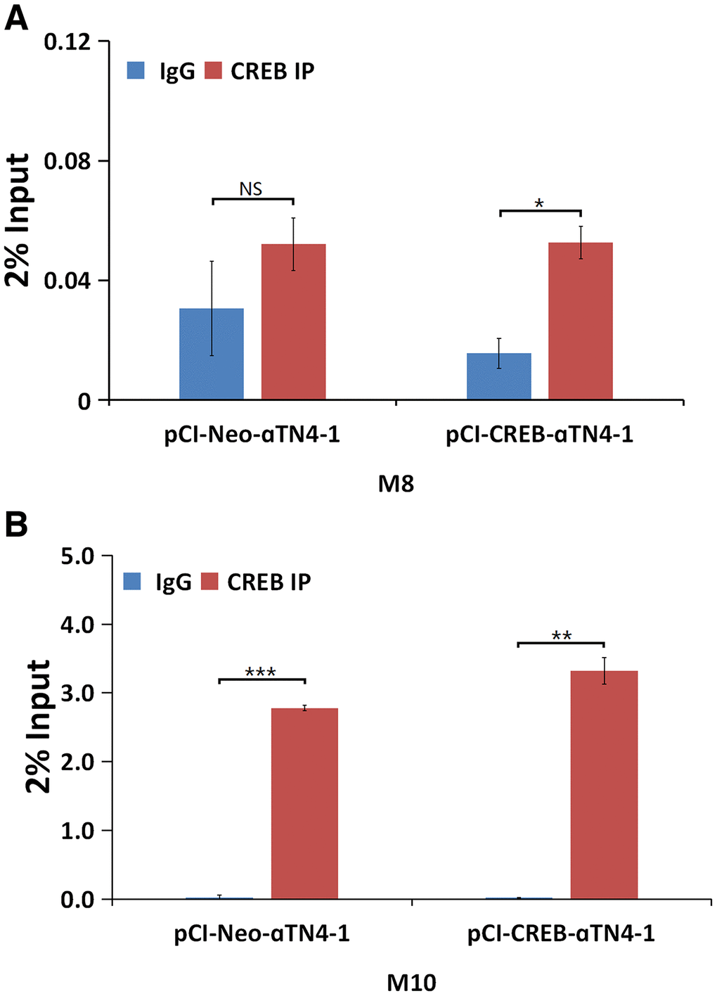 ChIP assays to demonstrate that CREB binds to the promoter of αB-crystallin gene in vivo. qChIP experiments revealed that in the in vivo condition, CREB displayed stronger affinity with M10 site (B), suggesting that CREB may interact with its partner to bind to the M10 site, and to a less degree, to the M8 site (A). All experiments were repeated three times. Error bar represents standard deviation, N=3. * p NS, statistically not significant.