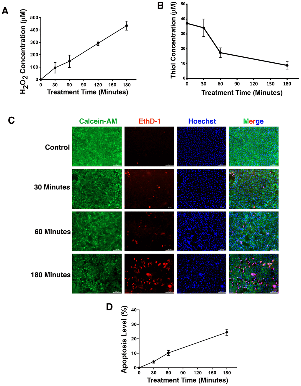 The transcription factor CREB acts as an important regulator