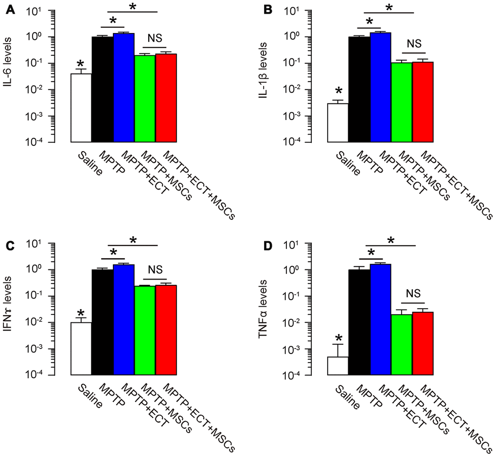 MSCs reduces pro-inflammatory cytokines. (A–D) ELISA for pro-inflammatory cytokine IL-6 (A), IL-1β (B), IFNɤ (C) and TNFα (D) in mouse brain. *p