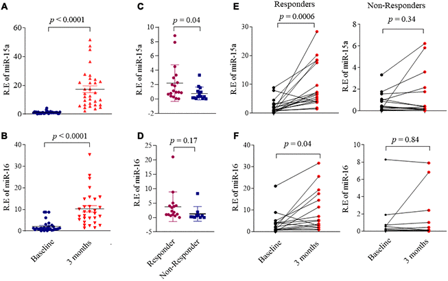 Association miR-15a/16 with DMARDs treatment response in RA patients. (A, B) Expression of miR-15a (A) and miR-16 (B) in serum from RA patients (n = 32) at baseline and after 3 months DMARDs therapy. (C, D) RA patients were divided RA into responders and non-responders based on whether their DAS28 score was changed ≥ 1.2 after 3 months DMARDs therapy. Graphs show the serum levels of miR-15a (C) and miR-16 (D) in serum from responders (n = 18) and non-responders (n=14). (E, F) Changes of the serum levels miR-15a (E) and miR-16 (F) in responders (left) and non-responders (right) from baseline to after 3 months DMARDs therapy. Values are the mean ± SD.