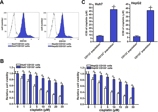 Cisplatin resistance of CD133+ HCC cells. (A) Purity of sorted CD133+ and CD133- Huh7 and HepG2 cells was tested by flow cytometry. (B) Sensitization of CD133+ and CD133- Huh7 and HepG2 cells to different concentrations of cisplatin (0~30 μM). *PC) IC50 of cisplatin to CD133+ and CD133- Huh7 and HepG2 cells. #Pvs. CD133- population.