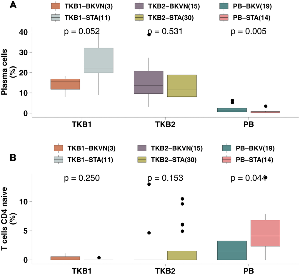 BKV was associated with increased plasma cell numbers and decreased naive CD4 T cell numbers. (A) The proportions of plasma cells in the PB (STA and BKV), TKB1 (STA and BKVN) and TKB2 (STA and BKVN) datasets. (B) The proportions of naive CD4 T cells in the PB (STA and BKV), TKB1 (STA and BKVN) and TKB2 (STA and BKVN) datasets. The thick line represents the median value. The bottom and top of the boxes indicate the 25th and 75th percentiles (interquartile range). The whiskers encompass 1.5 times the interquartile range. *, P