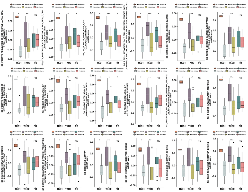 ssGSEA scores for the PB (STA and BKV), TKB1 (STA and BKVN) and TKB2 (STA and BKVN) datasets. The thick line represents the median value. The bottom and top of the boxes indicate the 25th and 75th percentiles (interquartile range). The whiskers encompass 1.5 times the interquartile range. *, P