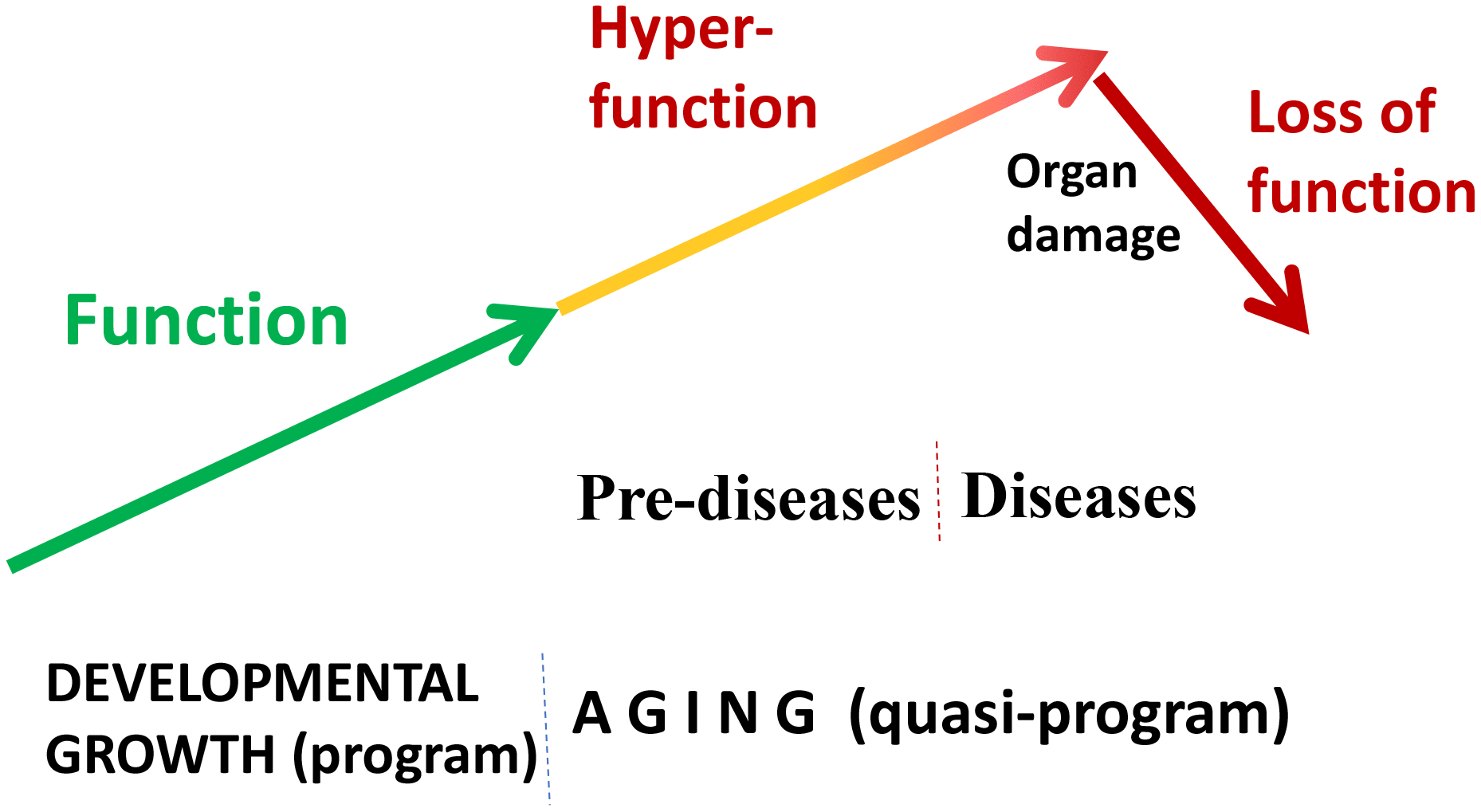 class="figure-viewer-img"