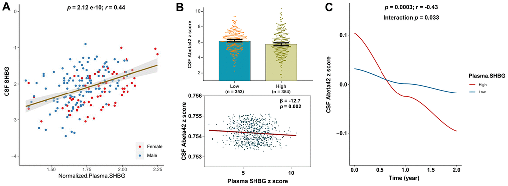 Relationships of plasma SHBG with CSF SHBG and CSF Aβ42. Plasma and CSF levels of SHBG were highly correlated (A). Higher levels of plasma SHBG were associated with lower levels of CSF Aβ42 after adjusting for age, gender, education, APOE4 status, and MMSE at baseline (B); Higher levels of plasma SHBG were associated with faster decline of CSF Aβ42 after adjusting for age, gender, education, APOE4 status, and diagnosis at baseline (C).