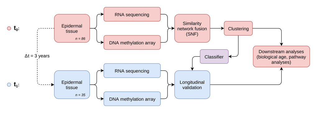 Study and analysis setup. Workflow diagram depicting the two-stage longitudinal study setup and the main steps of multi-omics data generation, integration and analysis.