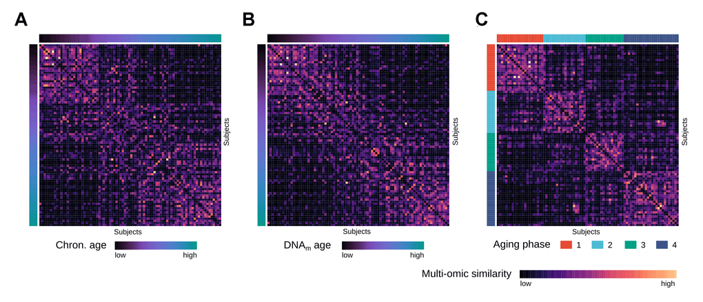 Multi-omics similarity between subjects in the integrated network. (A) Heatmap visualization showing similarities between subjects in the fused multi-omics similarity network generated from gene expression and methylation data, with subjects ordered by increasing chronological age. (B) Same heatmap visualization of multi-omics similarity as in (A), with subjects ordered by increasing DNAm age. (C) Same heatmap visualization of multi-omics similarity as in (A) and (B), with the subjects ordered by the identified aging phases.