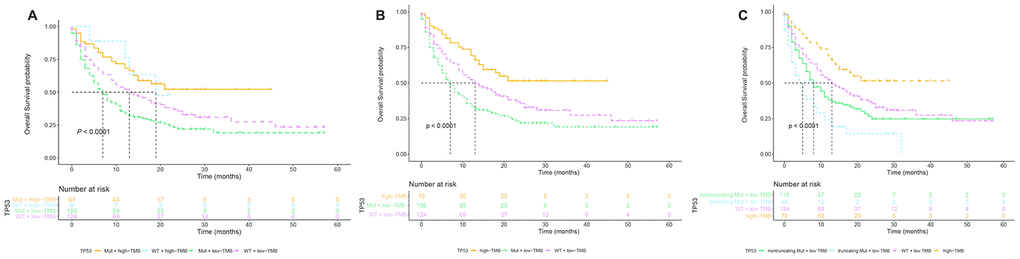 Stratification subgroup analysis of the relationship between overall survival and TP53 mutation status in immunotherapy-treated NSCLC patients of the MSK-IMPACT cohort with low or high TMB. (A) Kaplan-Meier survival curve analysis shows the OS of NSCLC patients in the MSK-IMPACT cohort divided into four subgroups, namely TP53 mutations and high TMB (n=61), TP53 wildtype and high TMB (n=9), TP53 mutations and low TMB (n=156), and TP53 wildtype and low TMB (n=124). (B) Kaplan Meier survival curve analysis shows the OS of NSCLC patients with TP53 mutations and low TMB (median OS=7 months) compared to NSCLC patients with wild-type TP53 and low TMB (median OS=13 months). (C) Kaplan Meier survival curve analysis shows the OS of NSCLC patients with high TMB irrespective of TP53 mutation, TP53 truncating mutations plus low TMB, TP53 non-truncating mutations plus low TMB, and wildtype TP53 plus low TMB. As shown, NSCLC patients with TP53 truncating mutations plus low TMB shows the lowest overall survival compared to other groups.