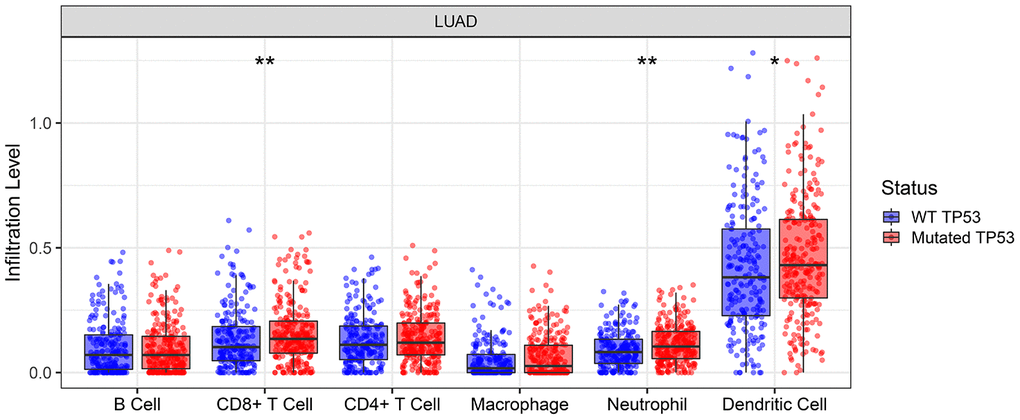 TIMER database analysis shows the abundance of six tumor-infiltrating immune cell types in TP53 wild-type or mutated lung adenocarcinoma tumor samples. * denotes P P 