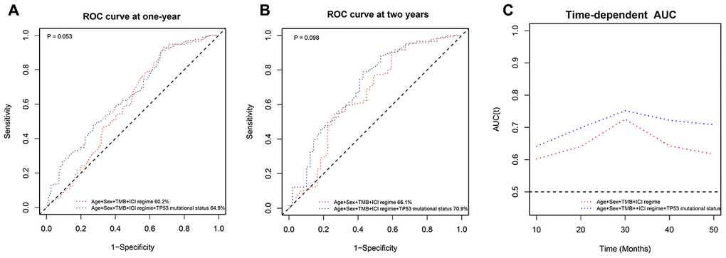 ROC curve analysis of the prognostic prediction models with or without TP53 mutation status. (A, B) The ROC curves show the comparative prognostic prediction efficiency of models with age, sex, ICI regime, and TMB or age, sex, ICI regime, TMB, and TP53 mutation status (wild-type, non-truncating or truncating mutations) as parameters at one year and two years after the 350 NSCLC patients in the MSK-IMPACT cohort received immunotherapies. (C) Time-dependent AUC of the prognostic prediction model with age, sex, ICI regime, TMB and TP53 mutation status was higher than the time-dependent AUC of the model with age, sex, ICI regime, and TMB.