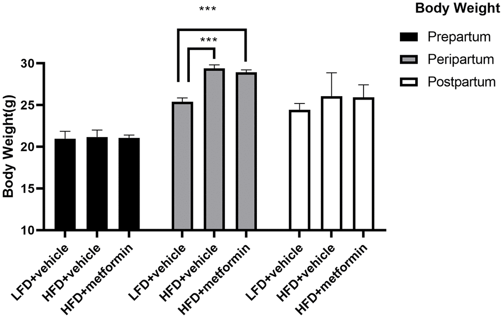 The body weight of maternal mice before, during, and after pregnancy. ***p-value