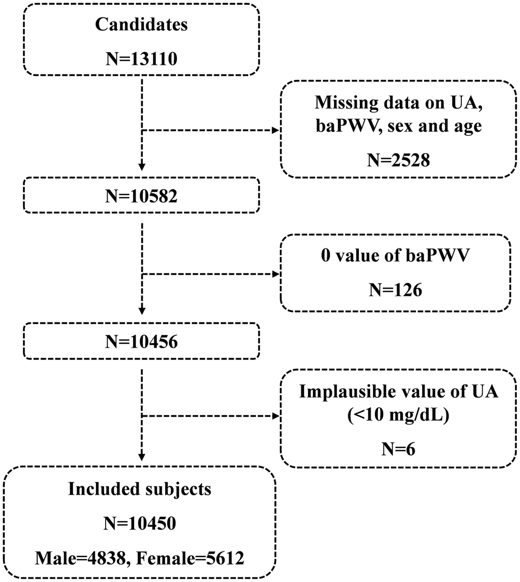 Flowchart of the study.