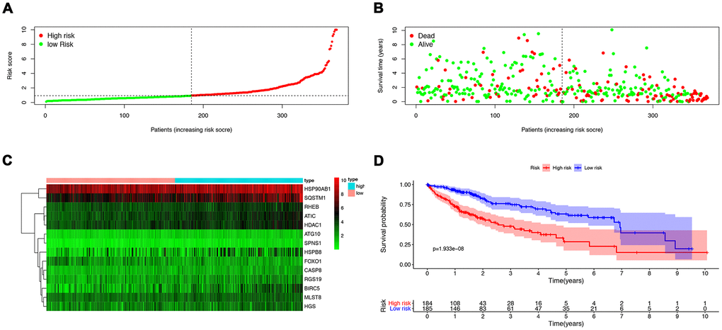 The construction of a prognostic ARG signature. (A) Distribution of prognostic index. (B) Survival status of patients in different groups. (C) Heat map of the expression profile of the included ARGs. (D) Patients in the high-risk group have a shorter overall survival.