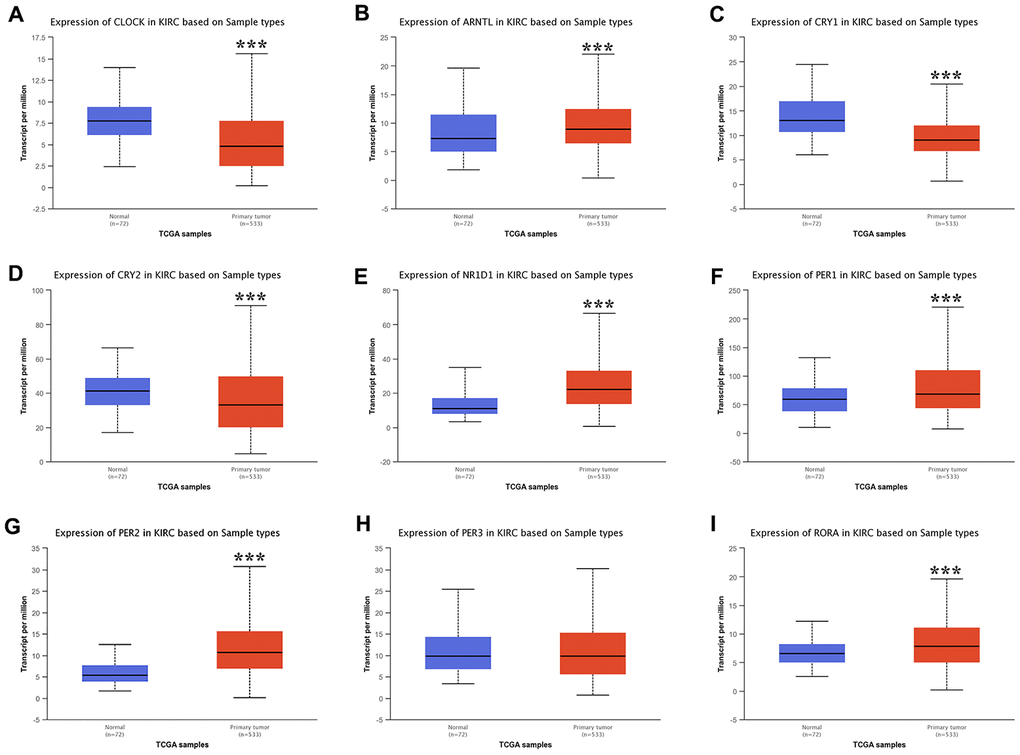 The expression of core circadian clock genes in KIRC tissue and normal tissue. ***p